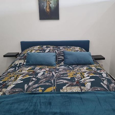 Les Mirabelles Apartment Metz Ngoại thất bức ảnh